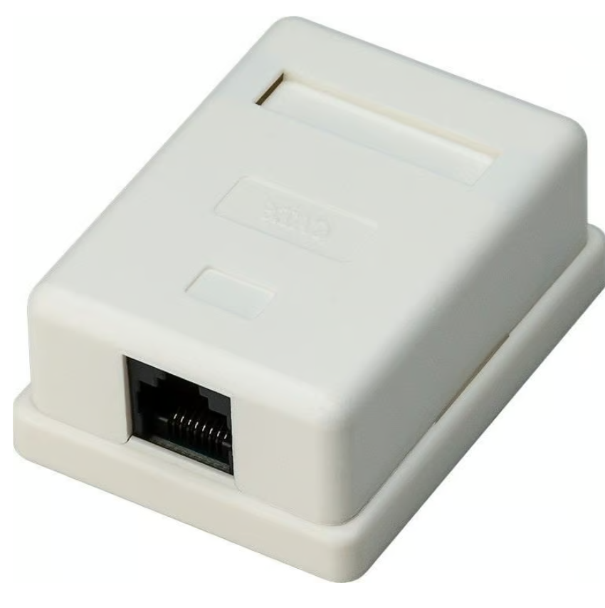 DeLOCK Dataudtag CAT6 RJ45